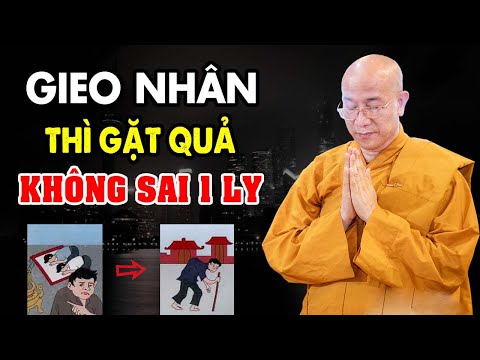 Luật Nhân Quả Không Chừa Một Ai , Đời Người Gieo Nhân Nào Gặt Quả Nấy - Thầy Thích Trúc Thái Minh