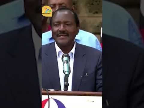 The country is united more than ever before around one goal; to defeat Ruto in elections- Kalonzo