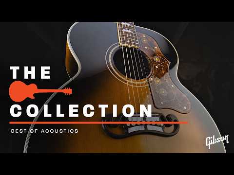 The Collection: Famous Guitarists Show You Their Favorite Acoustic Guitars