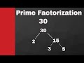 Prime Factorization Concepts