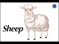 Animal Identification and Vocabulary