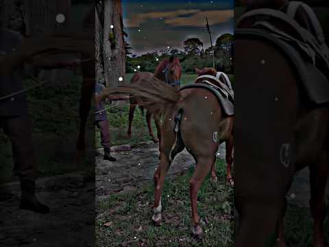 Horse apni mashook ko Dekh KR masti krnay laghaa #animals #donkey  #subscribe #horse #like #love