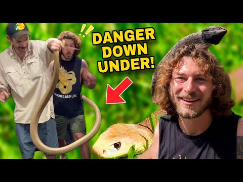 Australian Snake Hunting + INSANE Reptile Tour!