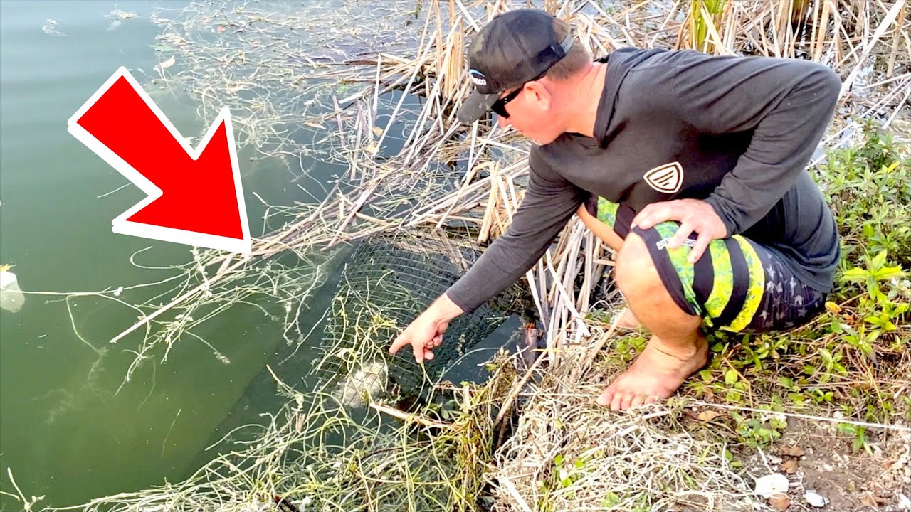 Found and Destroyed Illegal TURTLE Traps while Fishing a Drainage Ditch! - Bluegabe