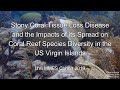 Coral Disease and Management Insights