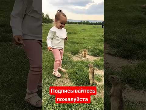 подписывайтесь пожалуйста