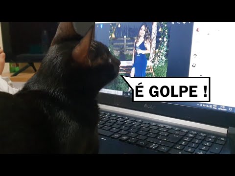 A SEGUNDA MELHOR HISTÓRIA DE AMOR QUE VERÁ ! ❤️