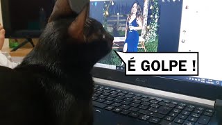 A SEGUNDA MELHOR HISTÓRIA DE AMOR QUE VERÁ ! ❤️