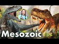Exploring the Mesozoic Era: Evolution and Extinction of Dinosaurs