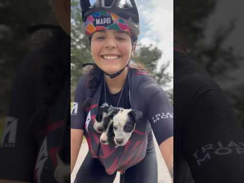 Rescatamos 6 perritos cuando hacíamos Gravel en la montaña, los metimos en nuestro jersey 🥰🐶🚲