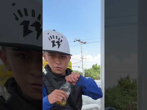 Este bro si que conoce su moto y hacer caballos #fypシ゚viral #motorcycle #motocross #shorts