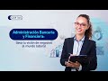 Video Content Analysis