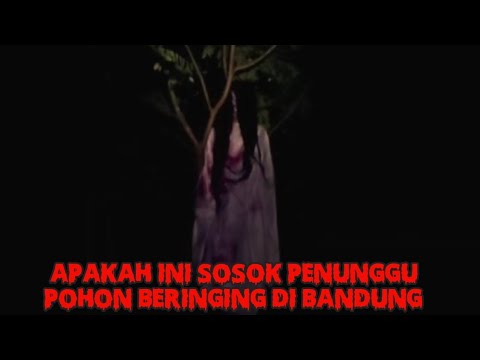 APAKAH SOSOK INI PENUNGGU POHON BERINGIN DI BANDUNG