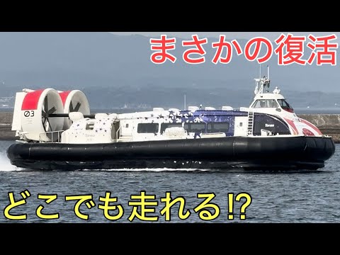 まさかの復活を果たした日本で唯一の空港アクセスが凄すぎた