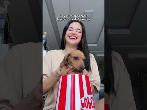 Sigo que me diga qué raza es 😱😱￼