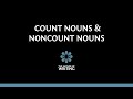 Count and Non-Count Nouns