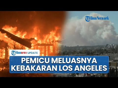 Api di Kawasan Los Angeles Meluas dengan Cepat, Dipicu Udara Kering dan Angin Santa Ana