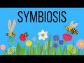 Symbiotic Relationships and Microbiomes