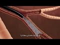 Bronchoscopy Procedures and Techniques