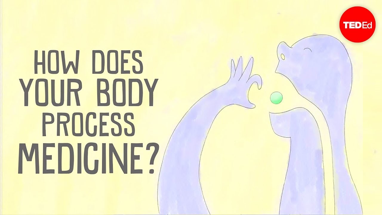How does your body process medicine? - Cline Valry