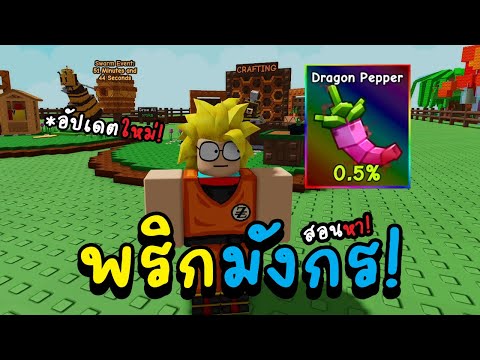 Roblox grow a garden อัปเดตใหม่ Dragon Pepper พริกมังกร 0.5% สอนคราฟของใหม่ สปริงเกอร์ใหม่!