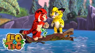 O Rio de Prata / Uma pequena proeza | Leo & Tig | Desenhos infantil 🐯🦁