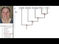 Cladogram Relationships and Traits