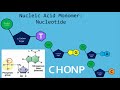 Macromolecules and Their Functions