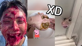 😂 VIDEO MEMES RANDOM XD #60, Si Te Ries Pierdes, Videos De Risa, Funny Tiktok, Try Not To Laugh