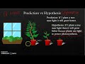 Independent and Dependent Variables in Experiments