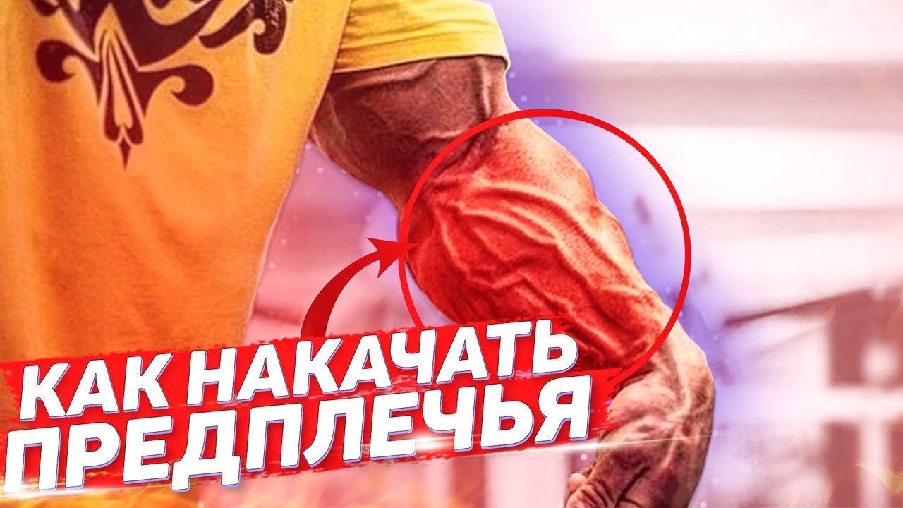 Как накачать могучие предплечья. Комплекс упражнений для предплечий