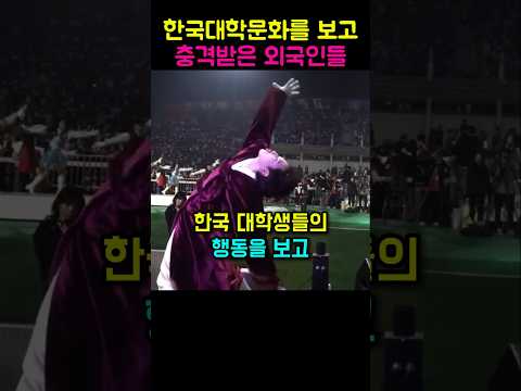 한국의 대학문화를 보고 충격에 빠진 외국인