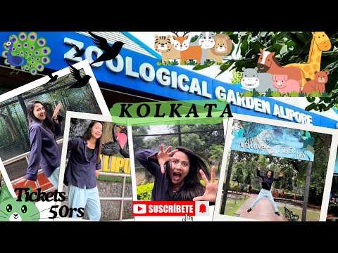 Kolkata Zoo| Zoological Garden | कोलकाता चिड़ियाघर |Kolkata Tourist Place| Chitra___g #vlog