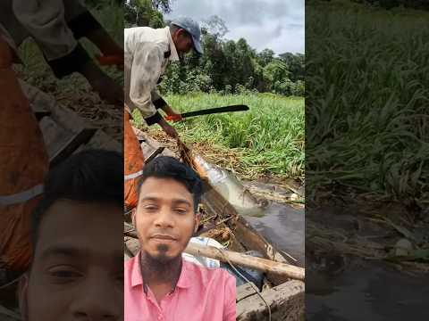 জালে কত বড় একটি মাছ 😱