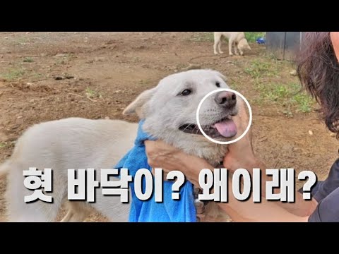 왜 이러는 걸까요?