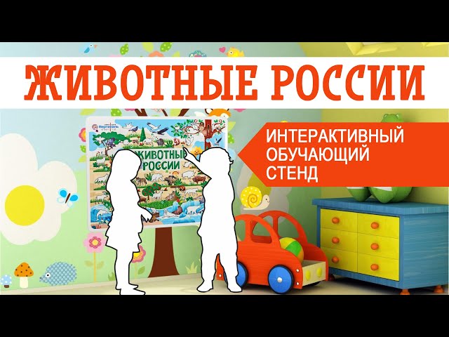 Видео Стенд тактильно-звуковой «Животные России» 640x840 мм