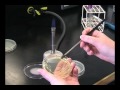 Bacterial Culture Techniques and Procedures