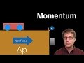 Momentum and Net Force Concepts