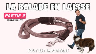 LA BALADE EN LAISSE - 2 (Exercices)