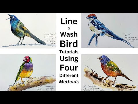 Bumper FOUR LIne & Wash Watercolour Tutorials