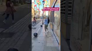 France #provence #cotedazur #glück #travel #livestream