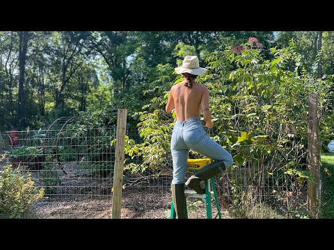 Elderberry Infestation | Seed Starting for Fall | Summer Garden Tour