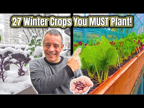 Winter's 27 Frost Proof Crops You Can't Afford to Miss!