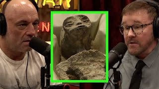 Are Tridactyl Mummies Aliens or Something Else?