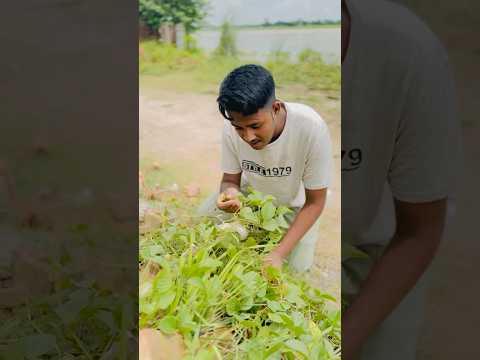 অভিশপ্ত পাতা 😭 #reels #emotional #foryou #trending #shortvideo #islamicshorts #islamic #tiktokvideo