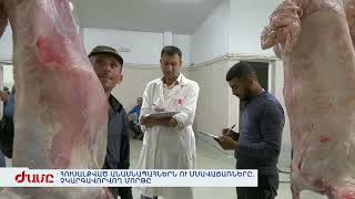 ՀՈՒՍԱԼՔՎԱԾ ԱՆԱՍՆԱՊԱՀՆԵՐՆ ՈՒ ՄՍԱՎԱՃԱՌՆԵՐԸ. ՉԿԱՐԳԱՎՈՐՎՈՂ ՄՈՐԹԸ