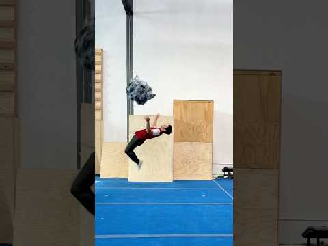 Backflip Catch with GIANT Ball of Duct Tape!