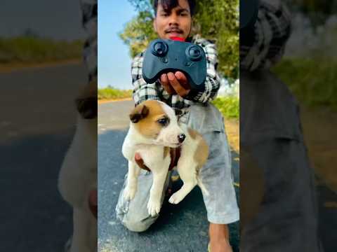 Remote control mini dog 🐶 unboxing 
