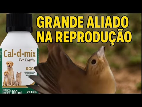 CAL-D-MIX  grande aliados na reprodução
