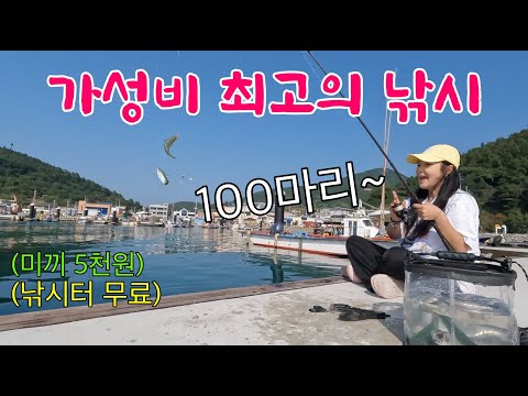 만원도 안 드는 최고의 가성비 낚시!! 모두가 좋아는 물고기를 수백 마리는 기본으로 잡을 수 있어요